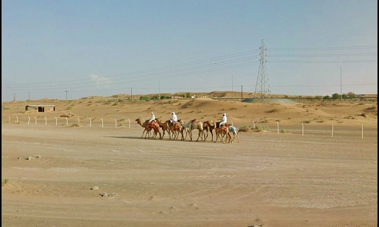 How to Beat the Heat: Enjoy a Perfect Summer Day in Umm Al Quwain